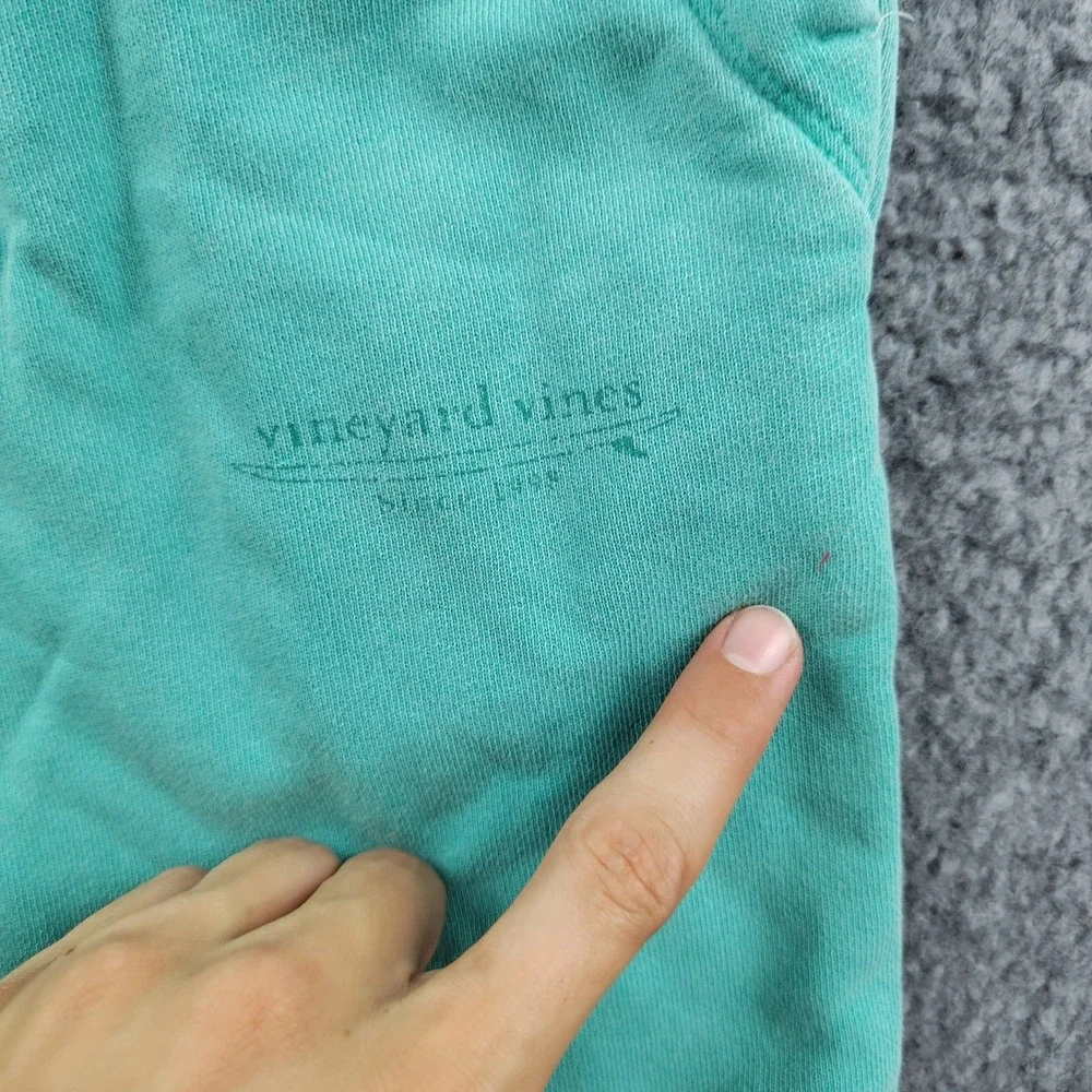 Vineyard Vines Shorts Mens XS Seafoam Green Drawstring Casual